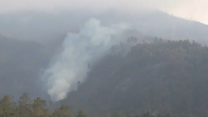 Gunung Merbabu Terbakar, BNPB Rencanakan Water Bombing