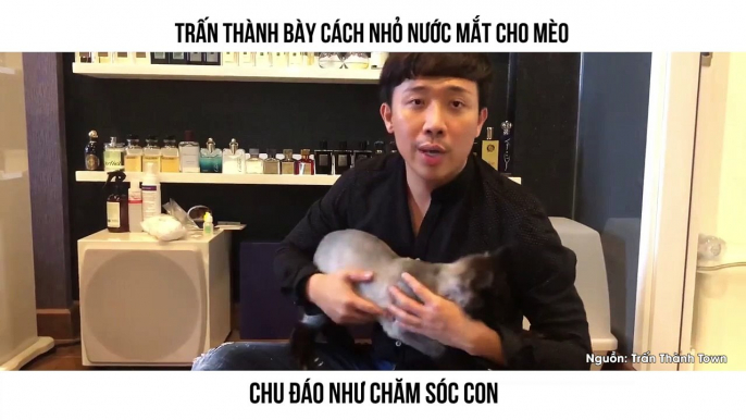 TRẤN THÀNH BÀY CÁCH NHỎ NƯỚC MẮT CHO MÈO  CHU ĐÁO NHƯ CHĂM SÓC CON