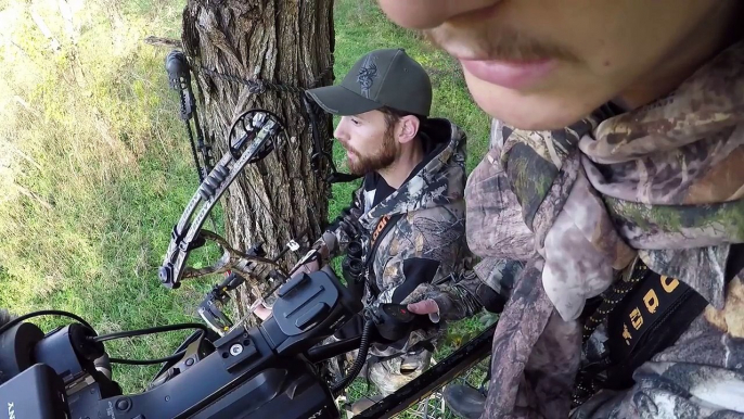 The BUCK NEST is BACK! - Bowhunting Public Land Whitetails: DEER TOUR E18