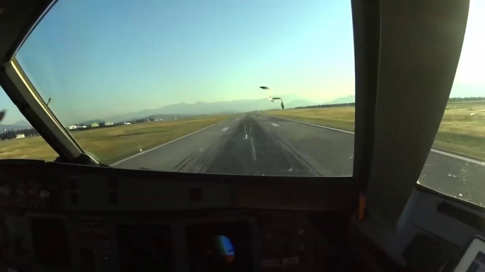 Cet avion A320 percute des dizaines d'oiseaux à l'atterrissage... Impressionnant