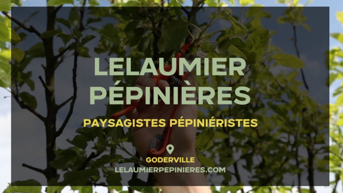 Pépiniériste et paysagiste - Jardinerie, élagage, arbres, plantes, fleur à Goderville 76