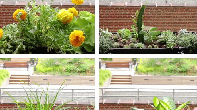 Add more green to your small space with this no-drill window box