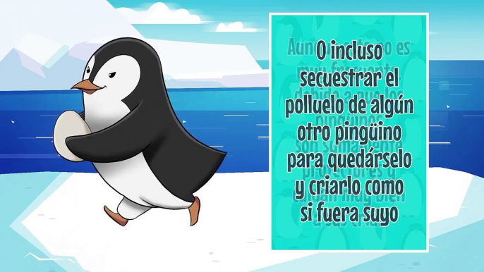 Datos increíbles que no sabías de los Pingüinos