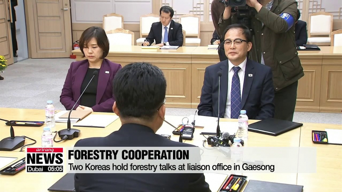 South and North Korea agree modernize 10 tree nurseries in North, jointly combat tree diseases