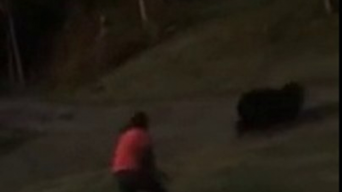 Un énorme grizzly charge un homme qui lui tire dessus avec son fusil (Canada)