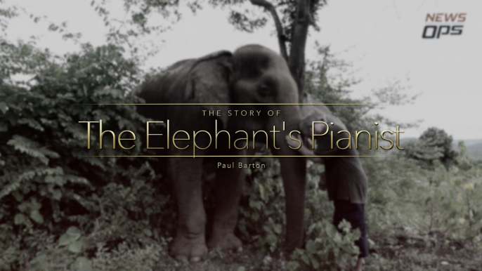 The Story of The Elephant's Pianist