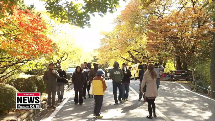 Developing countries look to South Korea as a role model in sustainable forestry management and rehabilitation