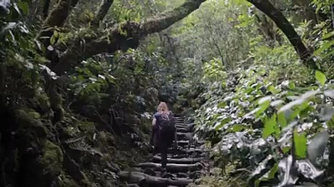 Du haut de ses 3 071 mètres d’altitude, perché au-dessus des nuages, le Piton des Neiges offre une vue imprenable sur La Réunion. Ascension imminente vers le pl