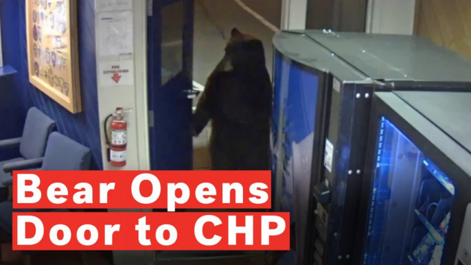 Bear Opens Door To Highway Patrol Facility, Goes Inside To Look Around