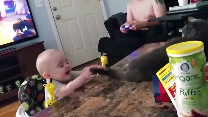 Funny Cats And Babies Playing Together - Funny Baby Fail - Best Video Compilation