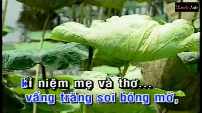 Xin Trả Tôi Về - Ngọc Sơn