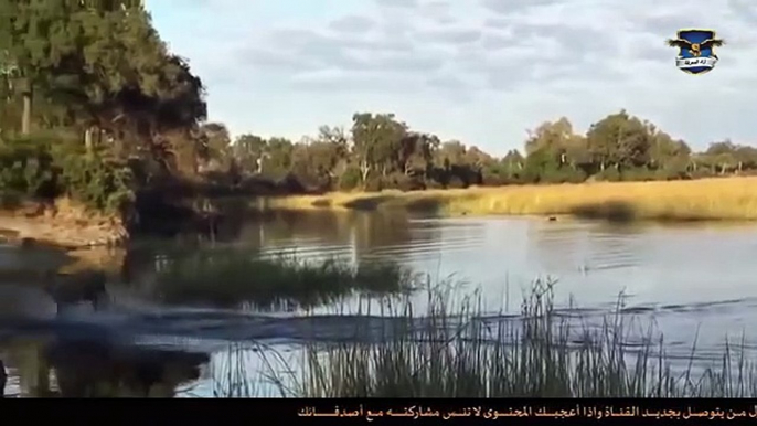 Increíble ataque de cocodrilo León a la muerte - Cocodrilos contra leones