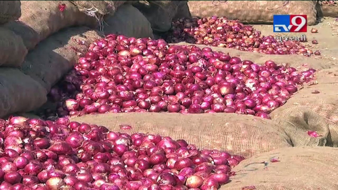 Low onion prices bring tears to Bhavnagar farmers’ eyes-Tv9