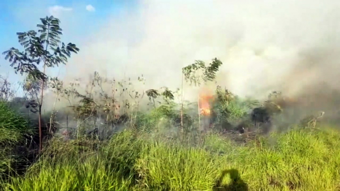 Fumaça de grande incêndio é 'jogada' para BR-277