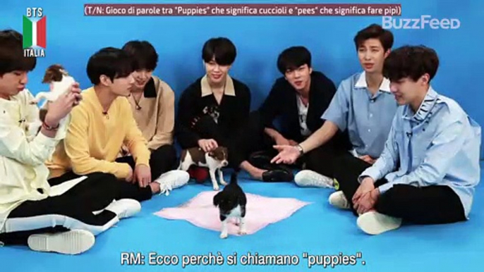 [SUB ITA] BTS Plays With Puppies While Answering Fan Questions | BuzzFeed Celeb