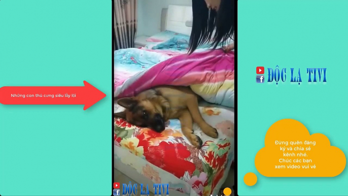 Top Tik Tok Trung Quốc Hot Triệu View 2019