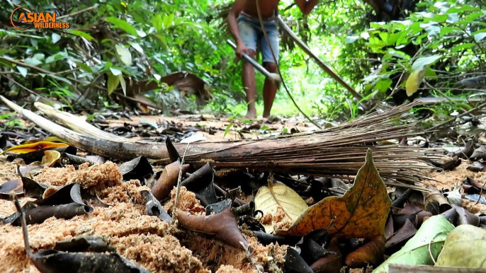 Primitive Technology: Awesome Quick Python Trap Using Big PVC Pipe That Work 100% By Men