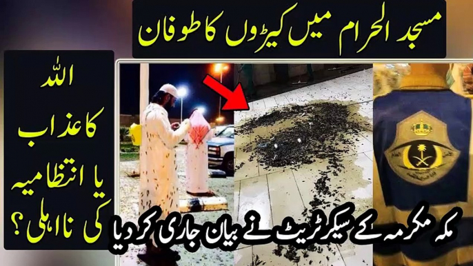 Huge Swarm of Locusts Descends In Mecca | مکہ مکرمہ پر کیڑوں کے عذاب والی خبر کی حقیقت سامنے آ گئی