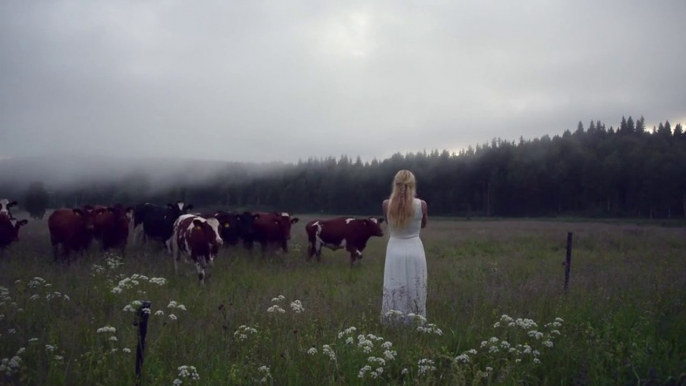 Elle appelle ses vaches en chantant : chant scandinave magnifique