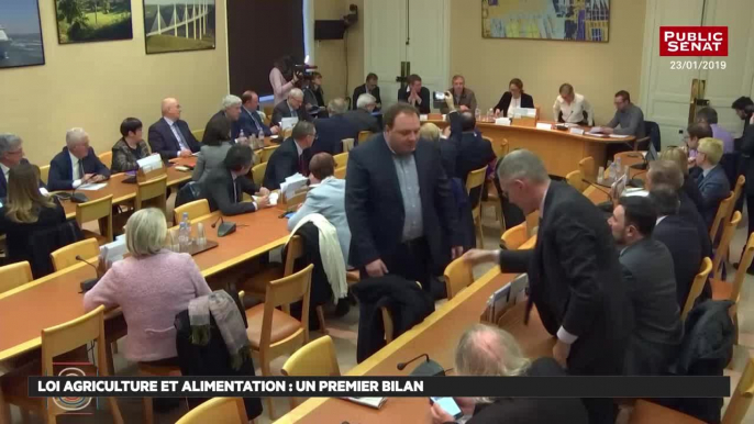 Loi agriculture et alimentation : les syndicats agricoles font un premier bilan - Les matins du Sénat (28/01/2019)