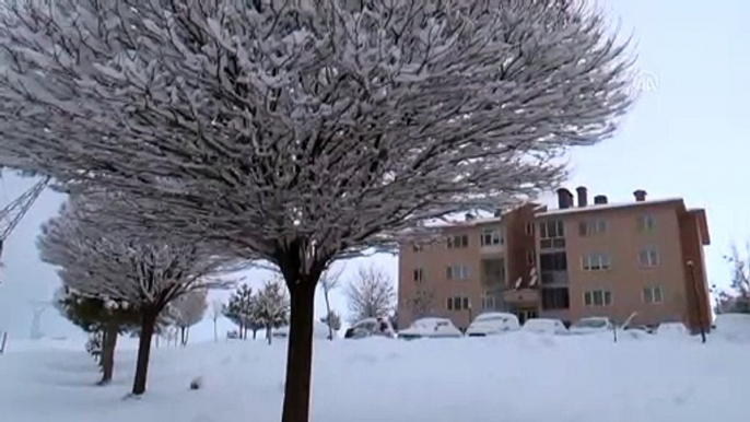 Ahlat beyaza büründü - BİTLİS