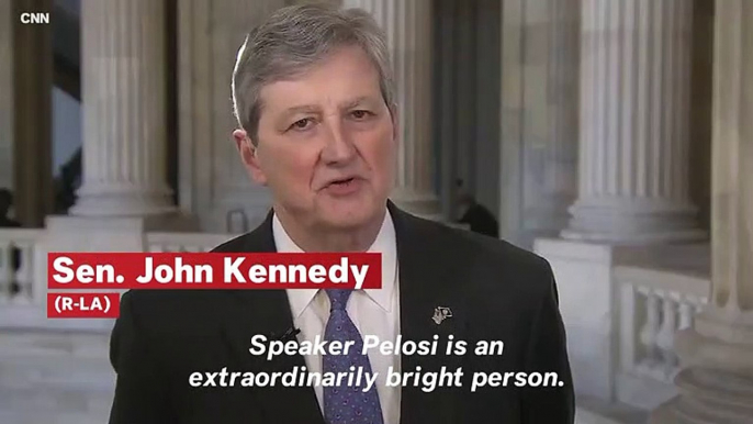 GOP Senator Says Nancy Pelosi Doesn't Want To Use The Word 'Wall': 'Call It A Wangdoodle For All I Care'