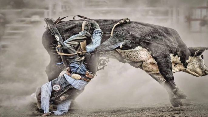 Houston Livestock Show And Rodeo 2019 - Houston Texas United States