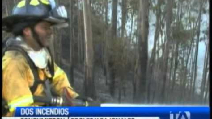 Dos incendios forestales consumieron árboles y pajonales en Bolívar