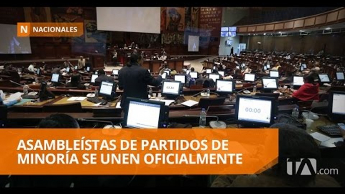 13 asambleístas conforman una cuarta bancada - Teleamazonas