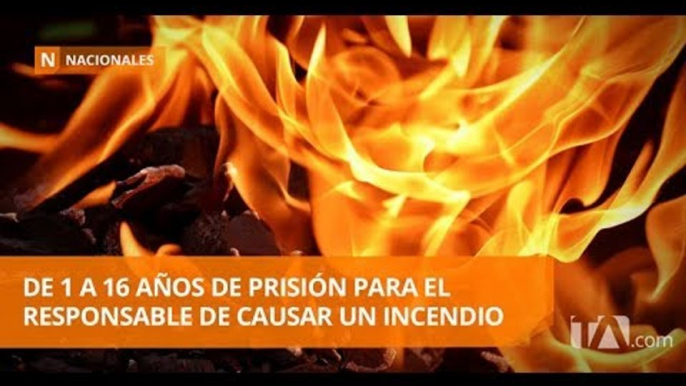 Una ola de incendios se ha registrado en las últimas horas en Quito  -Teleamazonas