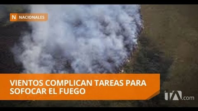 839 hectáreas de bosque han sido consumidas en el Cerro Atacazo - Teleamazonas