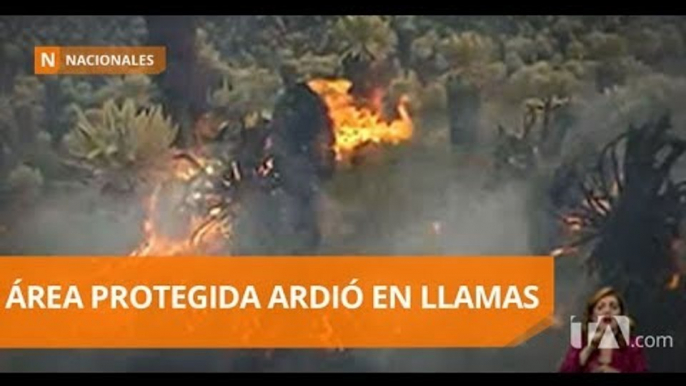 Más de 100 hectáreas de pajonal fueron consumidas por incendio - Teleamazonas