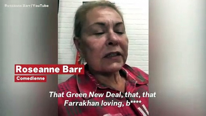 Roseanne Barr Calls Alexandria Ocasio-Cortez A 'B****,' Slams Democratic Party In Profanity-Laced YouTube Video