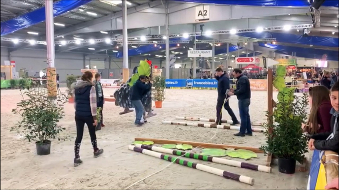 Salon du cheval de Besançon : concours de saut d'obstacle sur la grande carrière