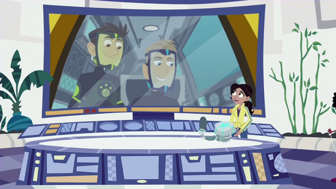 Wild Kratts  Follow Those Orcas!  Kids Videos