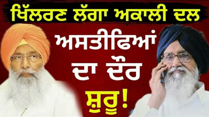 ਬੇਅਦਬੀ ਲਈ ਬਾਦਲਾਂ ਨੂੰ ਦੋਸ਼ੀ ਮੰਨਦੇ ਢੀਂਡਸਾ? Akali Dal in trouble after Sukhdev Singh Dhindsa resigns