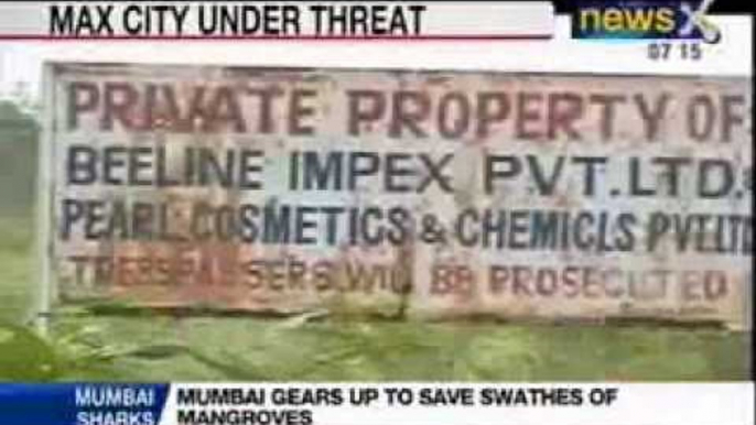 NewsX Special Investigation: Mumbai saves swathes of mangroves from the land-sharks