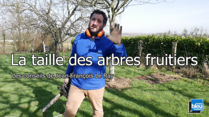 Taille des arbres fruitiers