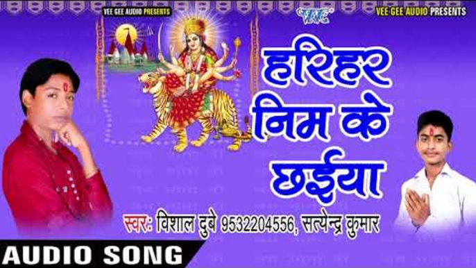 2017 का सबसे हिट देवी गीत - Maiya Chadhte Navratar Gahre Ayiha JukeBox - Vishal Deubey - भक्ति गीत