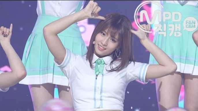 [MPD직캠] 트와이스 모모 직캠 'SIGNAL' (TWICE MOMO FanCam) | @MCOUNTDOWN_2017.6.1