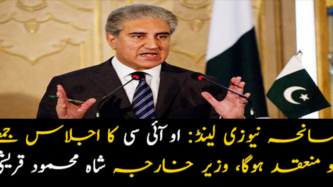 Foreign Minister Shah Mehmood Qureshi addresses media