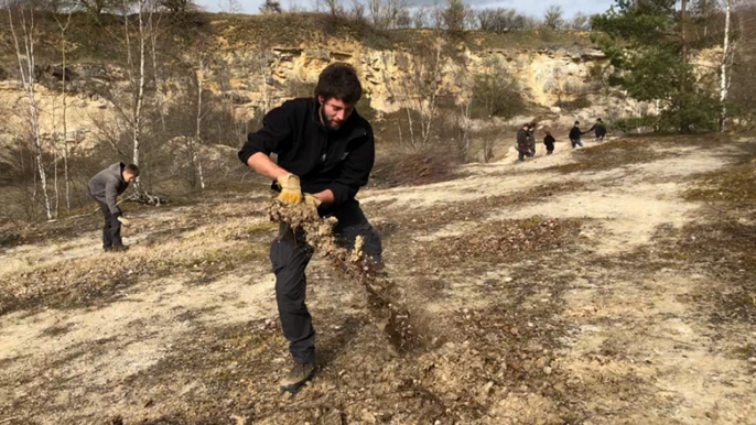 Chantier nature dans la carrière de Belle Eau