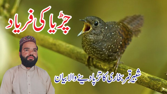 Shabbir Qamar Bukhari Islamic Video Latest Bayan 2019