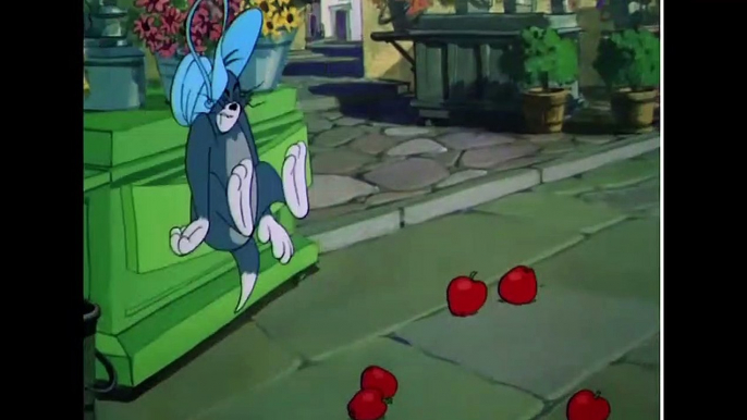 Tom & Jerry | Tom & Jerry On An Adventure! | Classic Cartoon Compilation | Best Compilation