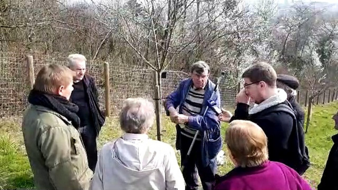 Initiation à la taille arbres fruitiers à Metz