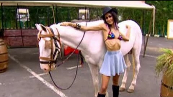 Kingfisher Supermodels: Photoshoot with the horses!