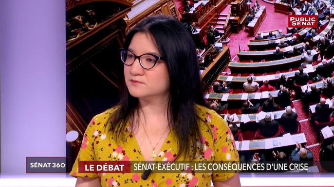 Crise institutionnelle / retraites / Europe - Sénat 360 (25/03/2019)