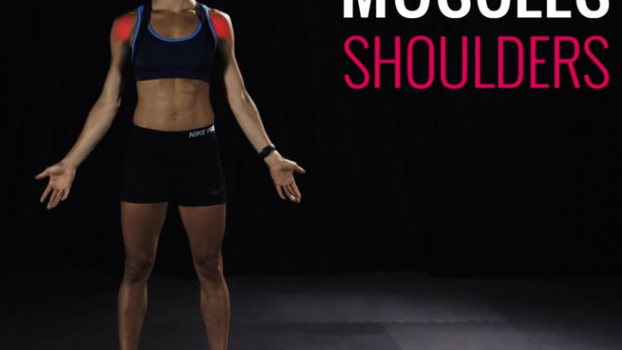 Moves and Muscles: Burpee