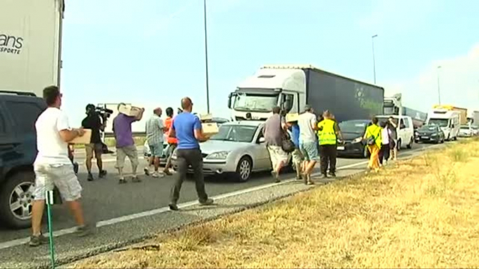 Cientos de agricultores protestan por la caída del precio de la fruta