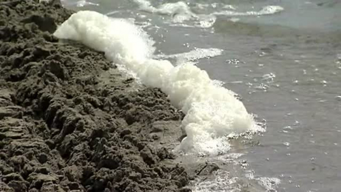 Los negocios de la comarca del Mar Menor preocupados por la retirada de banderas azules